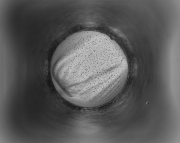 X0000088921301200707061356