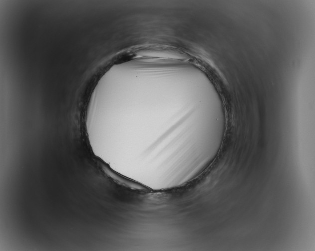 X0000088921304200707061356