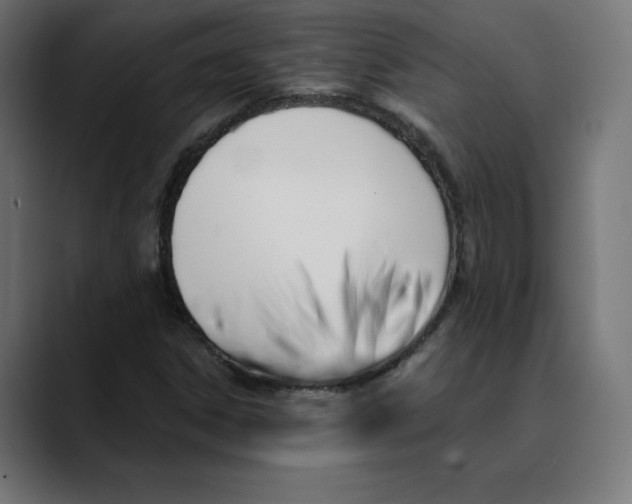 X0000088921306200707061356
