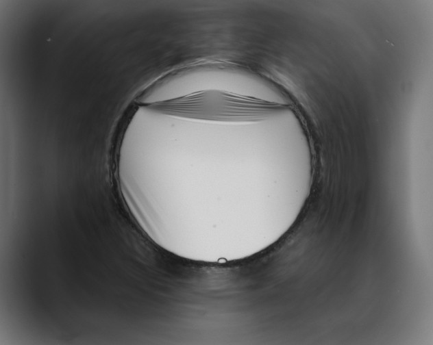 X0000088921308200707061356
