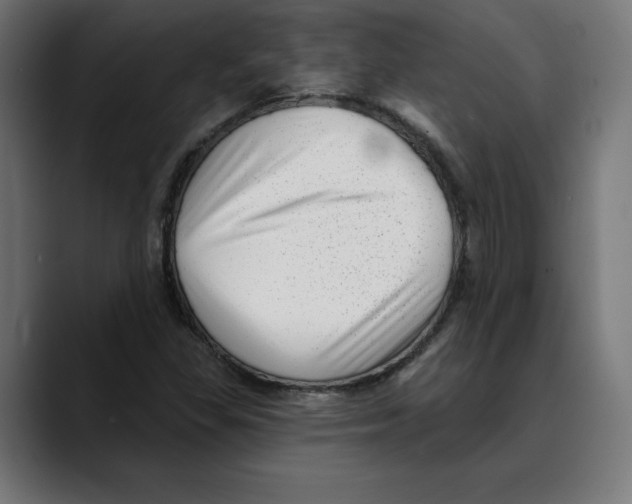 X0000088921309200707061356
