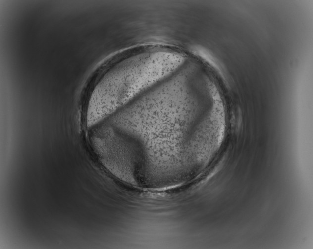 X0000088921310200707061356