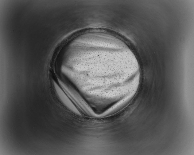 X0000088921311200707061356