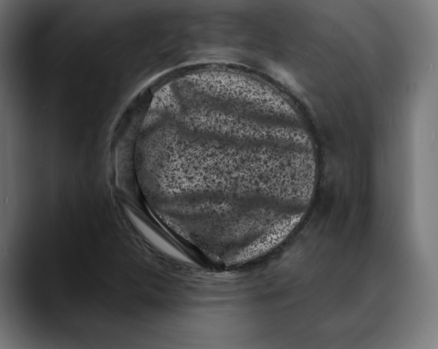 X0000088921312200707061356