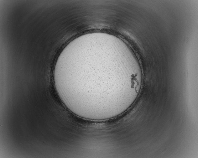 X0000088921313200707061356