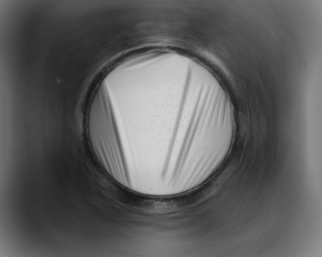 X0000088921318200707061356