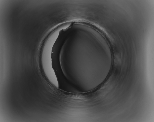 X0000088921319200707061356