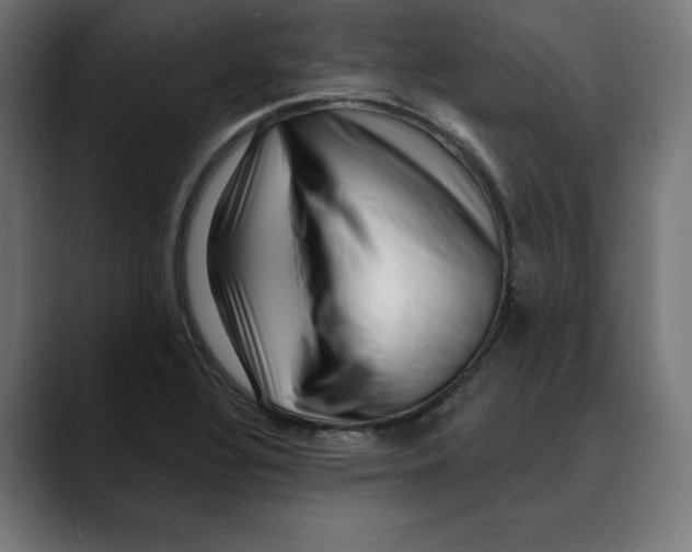 X0000088921320200707061356