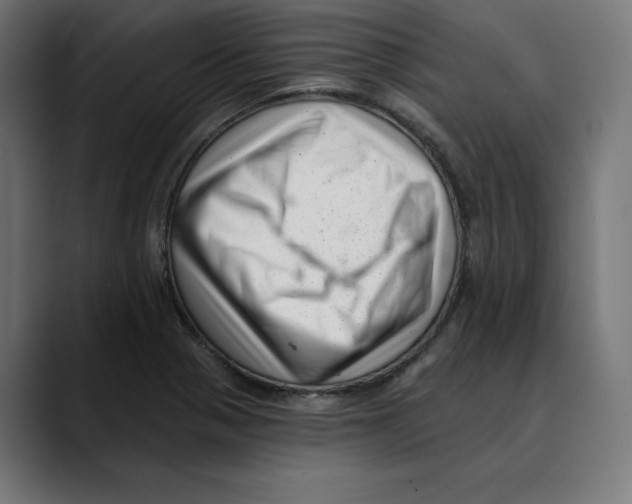 X0000088921321200707061356