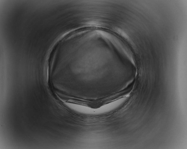 X0000088921323200707061356