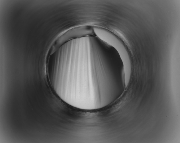 X0000088921324200707061356