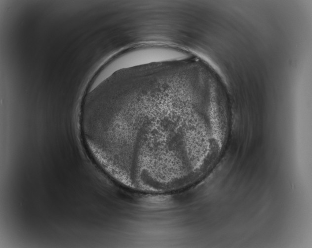 X0000088921325200707061356