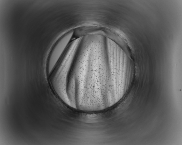 X0000088921326200707061356