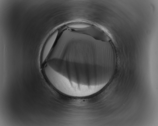X0000088921327200707061356