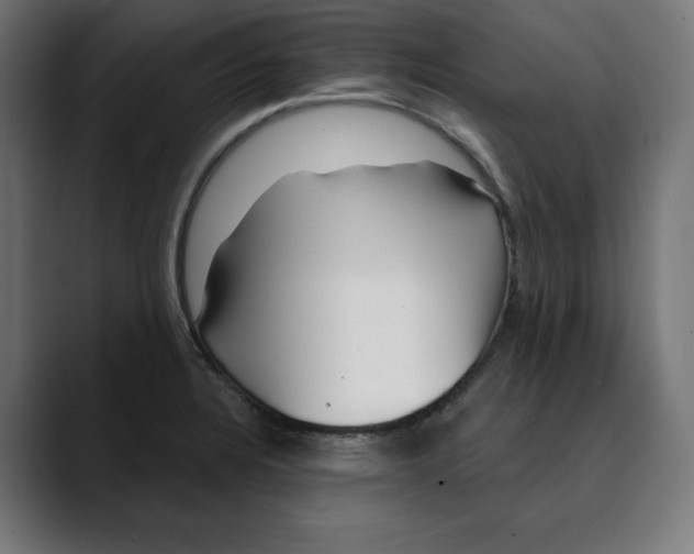 X0000088921328200707061356