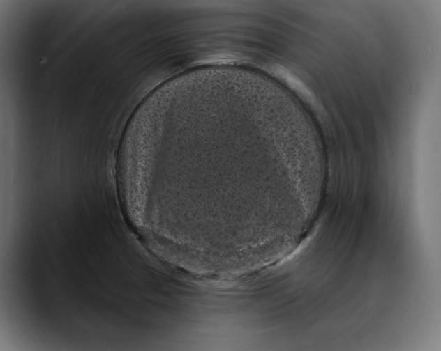X0000088921329200707061356