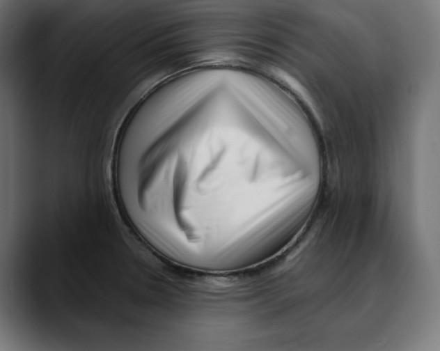 X0000088921330200707061356