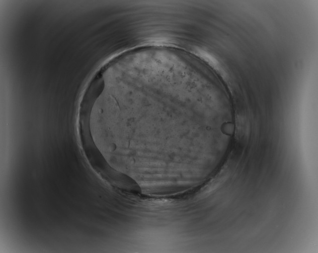 X0000088921331200707061356