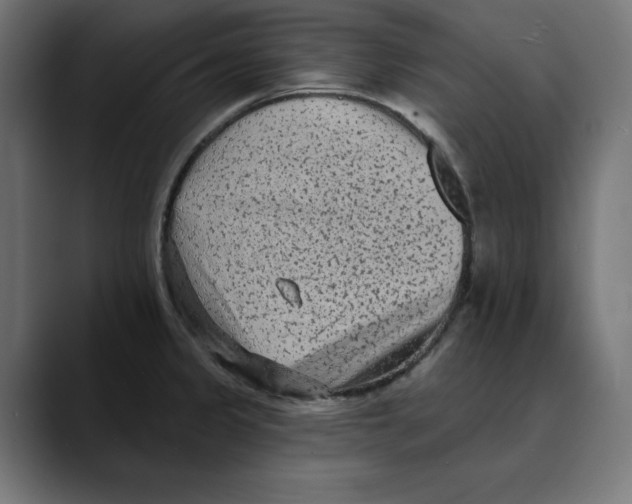 X0000088921333200707061356