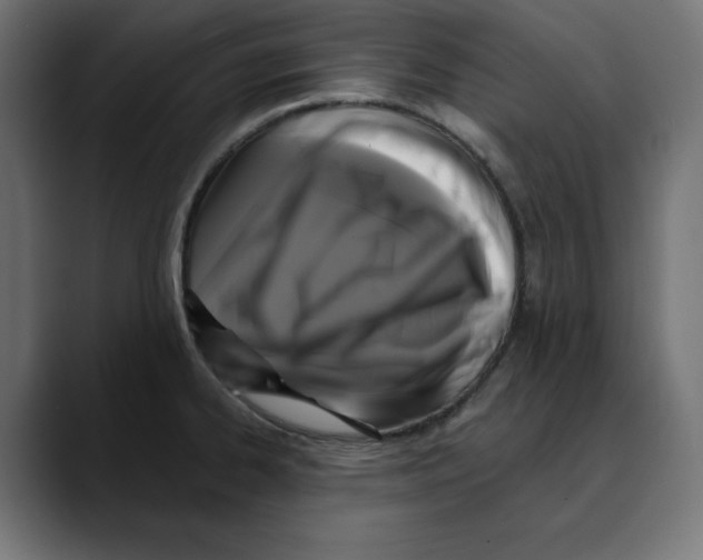 X0000088921334200707061356