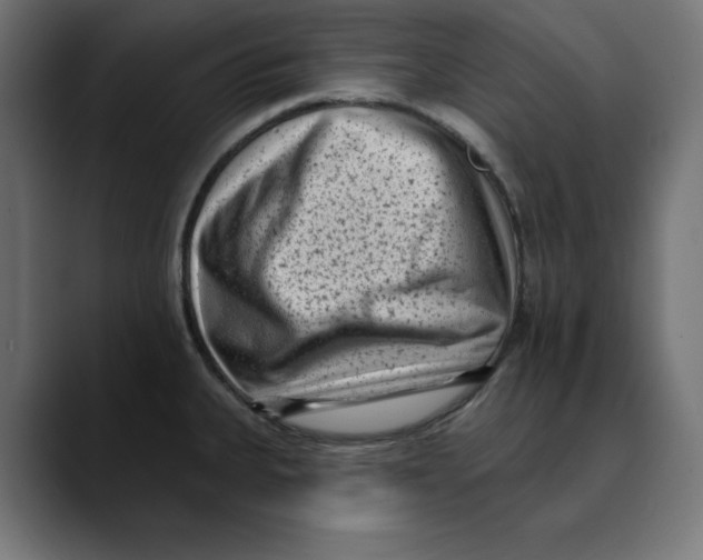 X0000088921335200707061356
