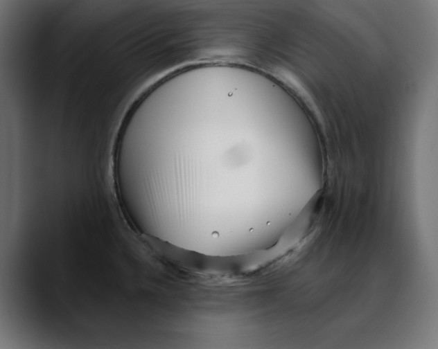 X0000088921336200707061356