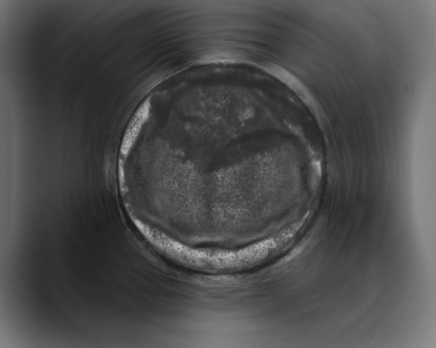 X0000088921337200707061356
