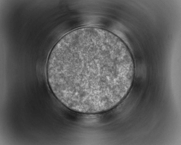 X0000088921338200707061356