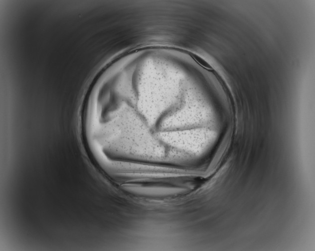 X0000088921341200707061356