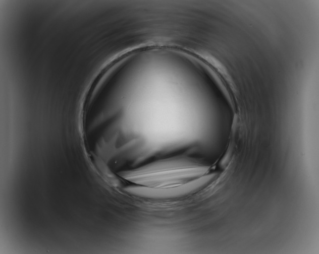 X0000088921342200707061356