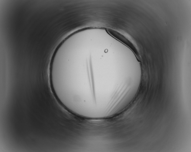 X0000088921343200707061356