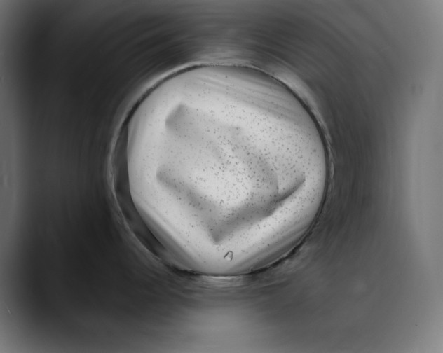 X0000088921344200707061356