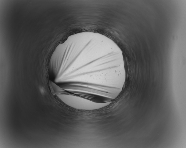 X0000088921345200707061356
