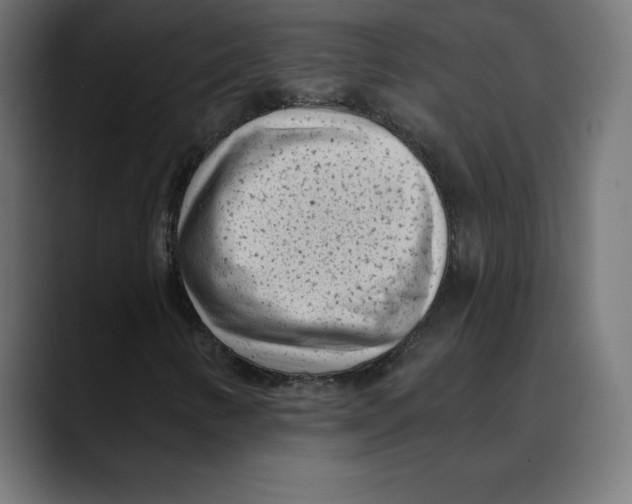 X0000088921346200707061356