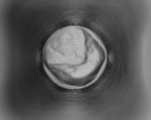 X0000088921347200707061356