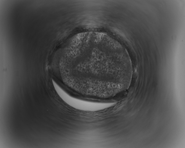 X0000088921348200707061356