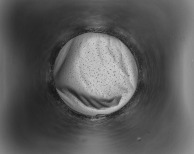 X0000088921350200707061356