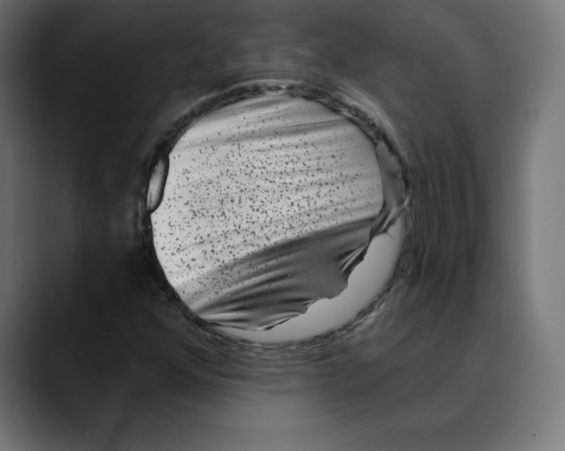 X0000088921352200707061356