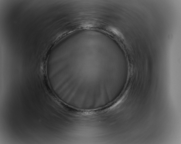 X0000088921353200707061356