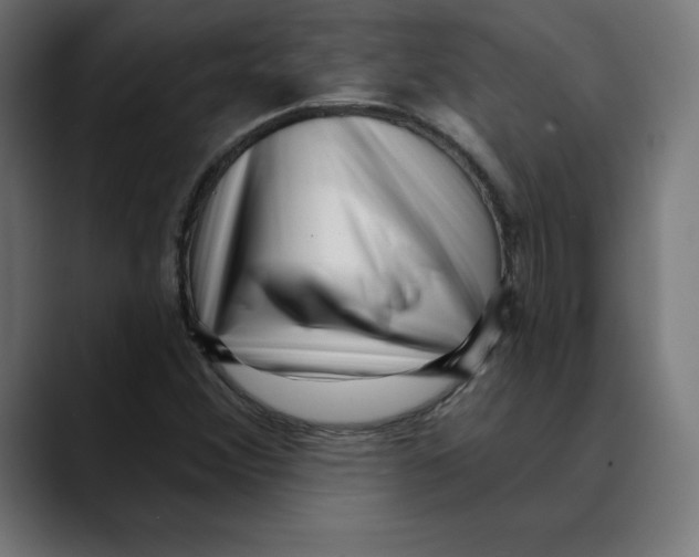 X0000088921356200707061356