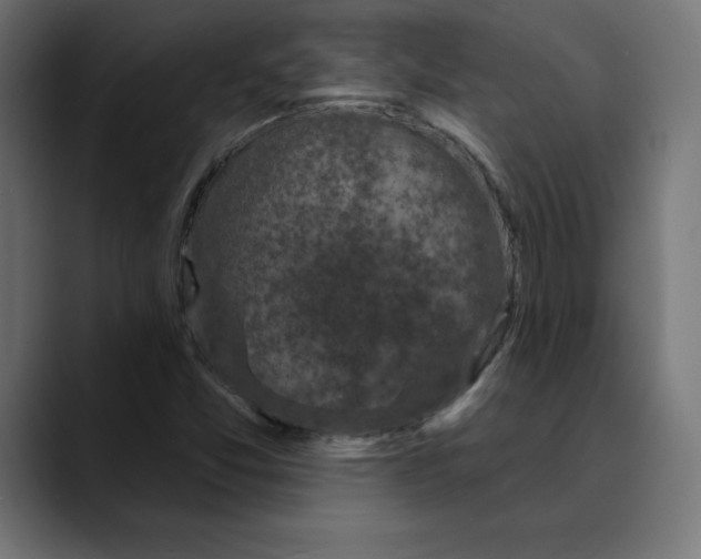 X0000088921357200707061356