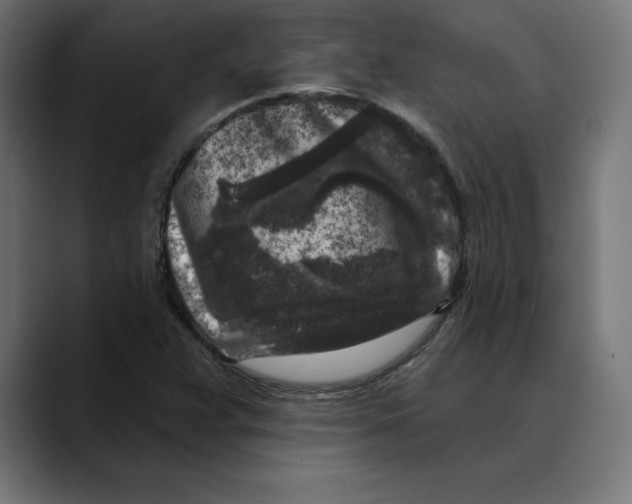 X0000088921359200707061356