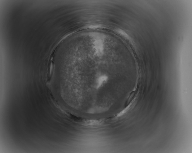 X0000088921361200707061356