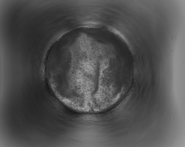 X0000088921362200707061356