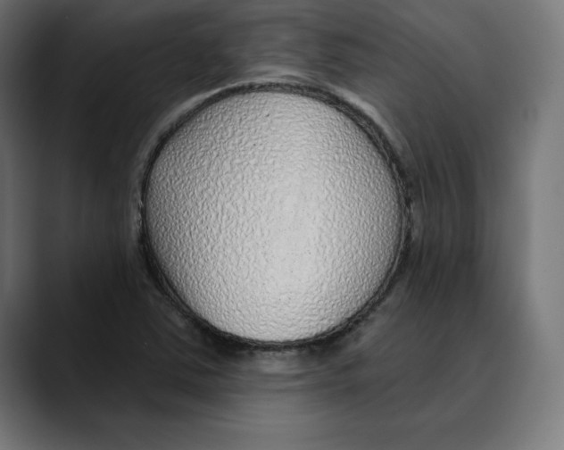 X0000088921363200707061356