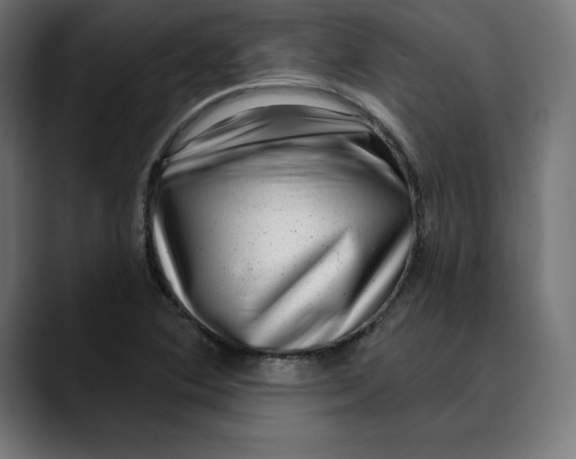 X0000088921364200707061356