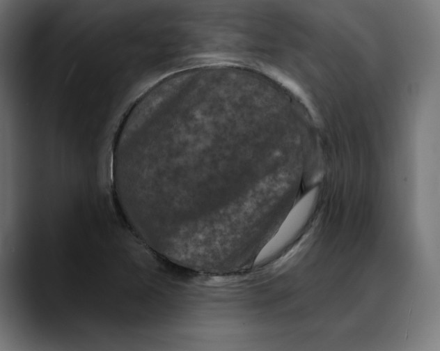 X0000088921365200707061356