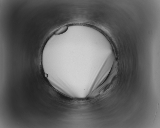 X0000088921366200707061356