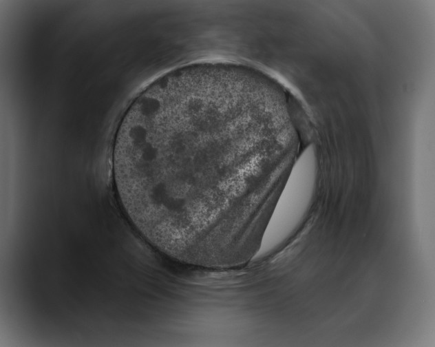 X0000088921367200707061356