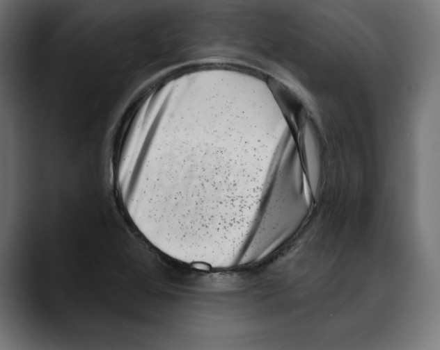 X0000088921368200707061356